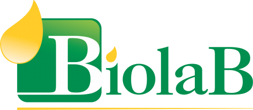 Logo CLELMA SOARES DE BRITO - EPP